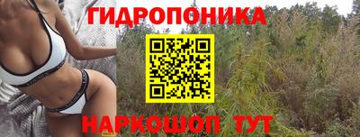 СК Краснознаменск