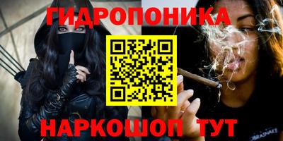 СК Краснознаменск
