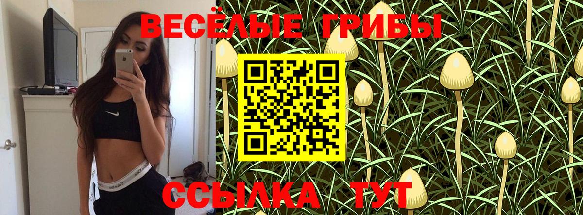 Галлюциногенные грибы прущие грибы Златоуст