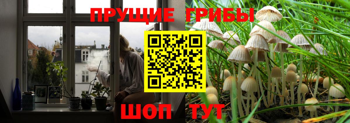 Златоуст  Галлюциногенные грибы Magic Shrooms  Вход с VPN  Псилоцибиновые грибы Magic Shrooms 